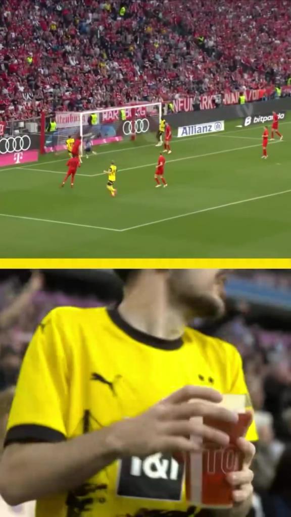 勇者無(wú)懼！這是真多特球迷！在拜仁球迷區(qū)一個(gè)人肆意慶祝！